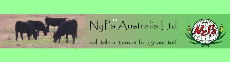 nypa